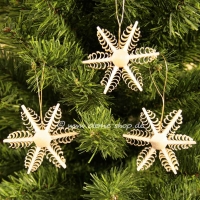 Artikel-Bild-Kleine Spansterne, 3- teilig 6,5 cm natur